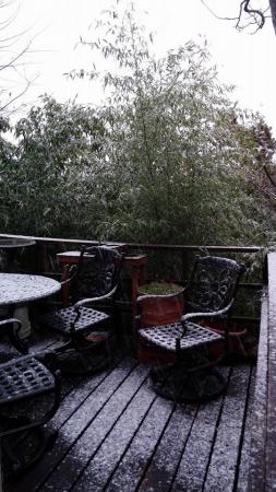 Название: 10934082_10206003913323762_2241749207166167820_n.jpg
Просмотров: 1406
Размер: 29.7 Кб