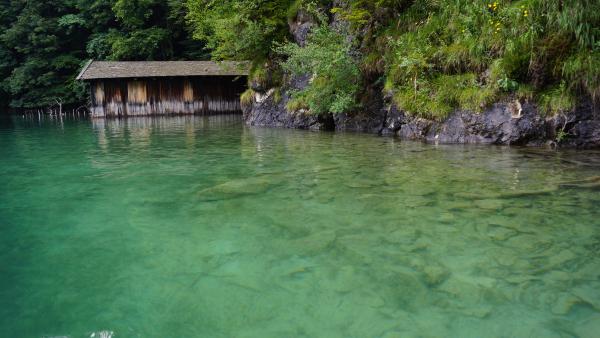 Название: DSC00122.jpg
Просмотров: 40212
Размер: 37.4 Кб