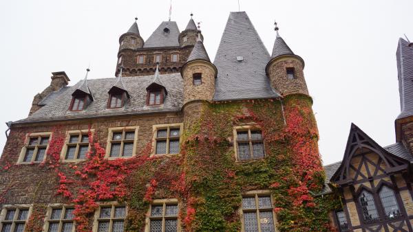 Название: DSC00217.jpg
Просмотров: 6449
Размер: 43.3 Кб