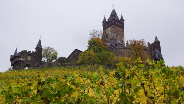 Название: DSC00168.jpg
Просмотров: 6444
Размер: 36.3 Кб