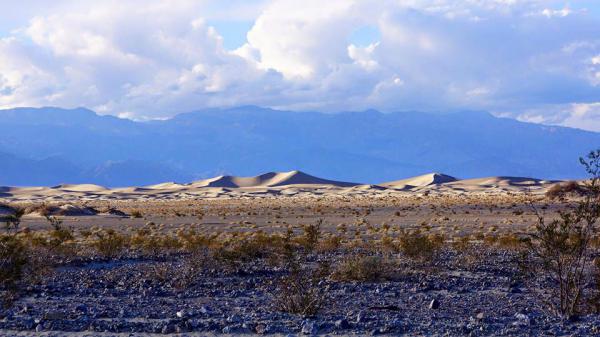 Название: 12540921_1060133147385394_5063272140991526044_n.jpg
Просмотров: 3726
Размер: 39.5 Кб