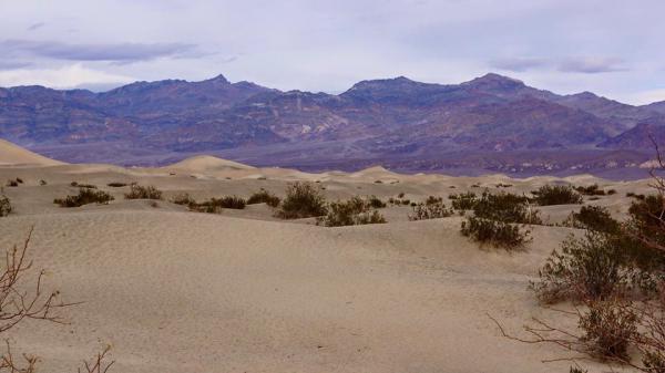 Название: 12548908_1060133117385397_8805390754254957609_n.jpg
Просмотров: 3512
Размер: 28.4 Кб