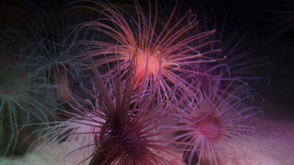 Название: DSC00018.jpg
Просмотров: 5215
Размер: 27.0 Кб