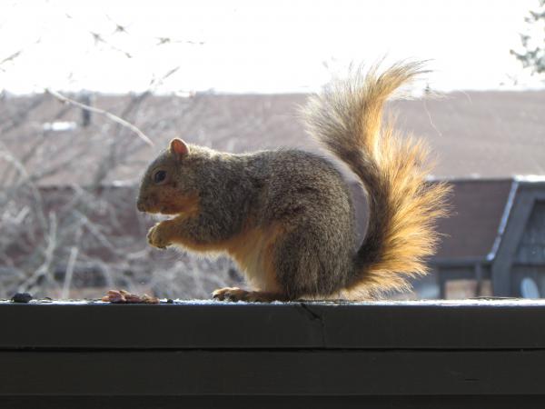 Название: IMG_0982.jpg
Просмотров: 2312
Размер: 27.4 Кб