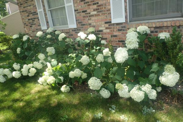 Название: P6161968.jpg
Просмотров: 1238
Размер: 59.5 Кб