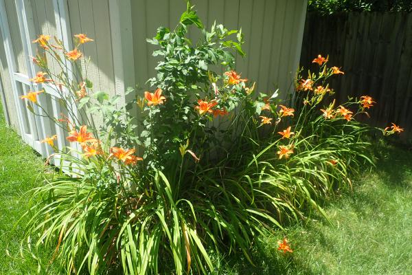 Название: P6161969.jpg
Просмотров: 1213
Размер: 69.1 Кб