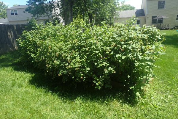 Название: P6161970.jpg
Просмотров: 1198
Размер: 71.9 Кб