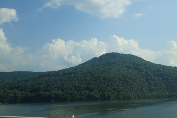 Название: P7212653.jpg
Просмотров: 1335
Размер: 20.5 Кб