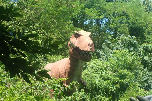 Название: P7212532.jpg
Просмотров: 1146
Размер: 76.2 Кб