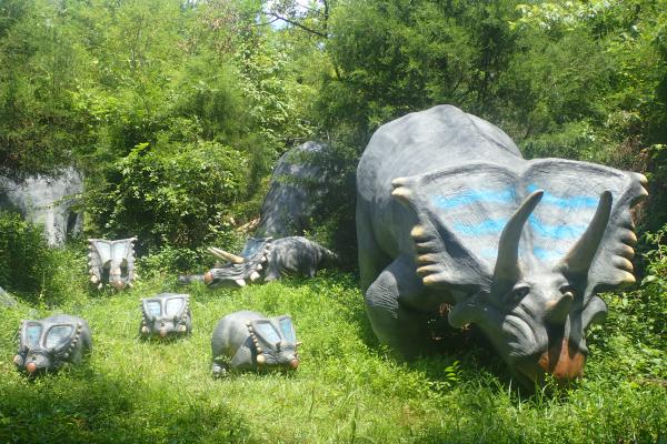 Название: P7212533.jpg
Просмотров: 1315
Размер: 70.0 Кб