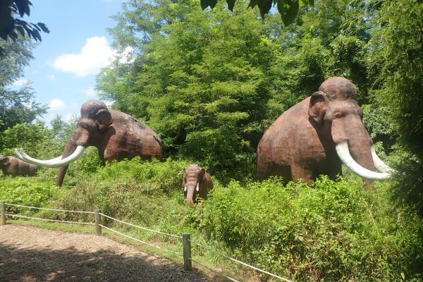 Название: P7212545.jpg
Просмотров: 1170
Размер: 73.3 Кб