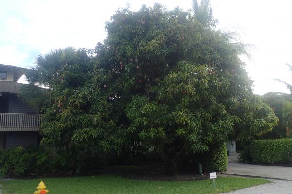 Название: P7243224.jpg
Просмотров: 1265
Размер: 38.4 Кб