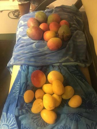 Название: lWJxKwA3GZA.jpg
Просмотров: 1282
Размер: 23.0 Кб