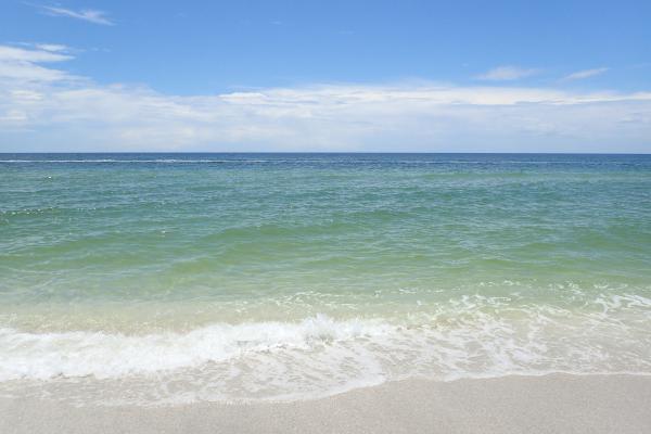 Название: P7253276.jpg
Просмотров: 1267
Размер: 27.4 Кб