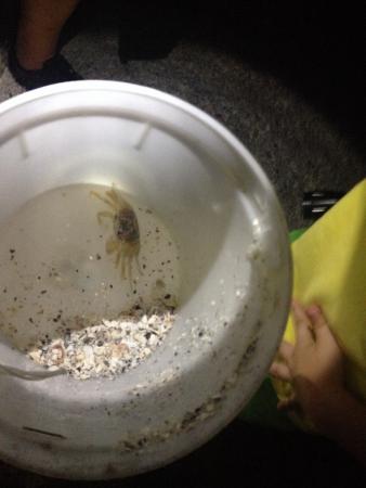 Название: nP4Wc2mfAyg.jpg
Просмотров: 1087
Размер: 16.7 Кб