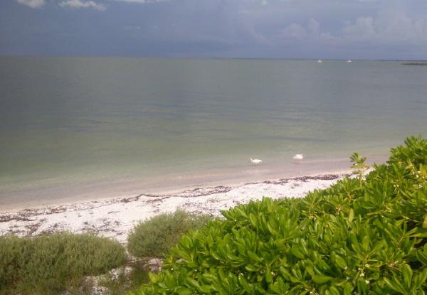 Название: gY8mJPTOCoM.jpg
Просмотров: 1232
Размер: 32.2 Кб