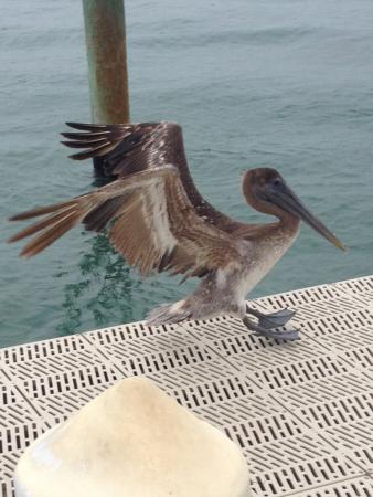 Название: aaDxqtDTtFk.jpg
Просмотров: 1237
Размер: 29.2 Кб