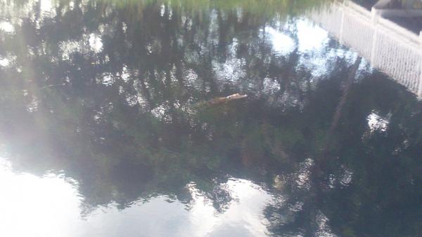 Название: pLTqOAyT_Qo.jpg
Просмотров: 1236
Размер: 27.2 Кб