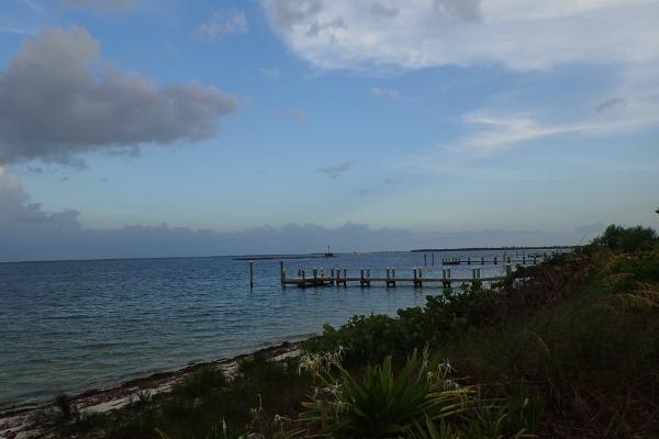 Название: P7263506.jpg
Просмотров: 1232
Размер: 24.2 Кб