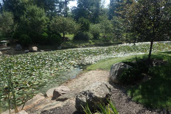 Название: P9054807.jpg
Просмотров: 1182
Размер: 70.8 Кб