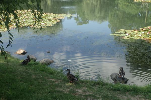 Название: P9054809.jpg
Просмотров: 1052
Размер: 44.0 Кб