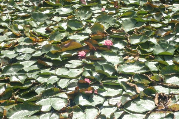 Название: P9054818.jpg
Просмотров: 1187
Размер: 67.8 Кб