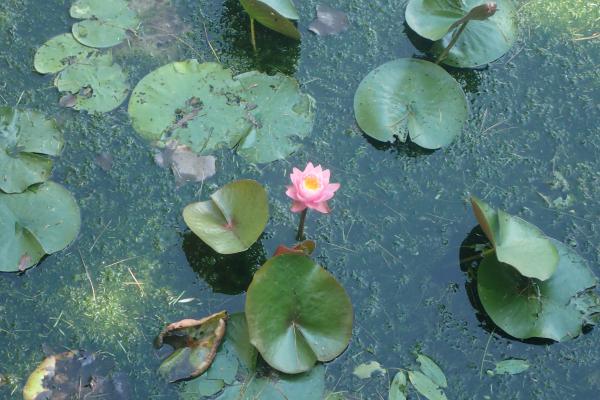 Название: P9054834.jpg
Просмотров: 1176
Размер: 47.4 Кб