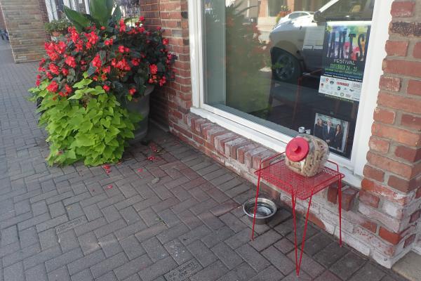 Название: P9054869.jpg
Просмотров: 990
Размер: 47.2 Кб