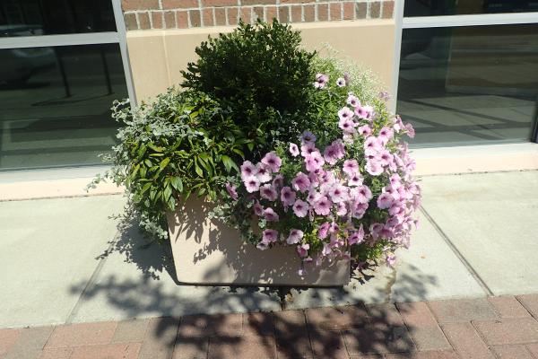 Название: P9054859.jpg
Просмотров: 1120
Размер: 50.4 Кб