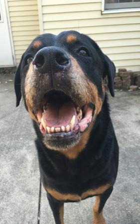 Название: VTgJtCyOZsw.jpg
Просмотров: 850
Размер: 22.0 Кб