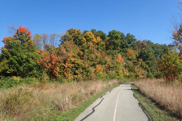 Название: TTtEuTsa__0.jpg
Просмотров: 1075
Размер: 56.8 Кб