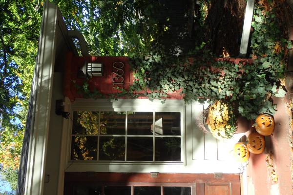 Название: PA225296.jpg
Просмотров: 1066
Размер: 59.6 Кб