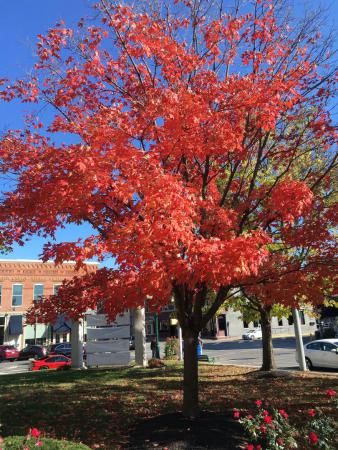 Название: X1cAYy3_Wok.jpg
Просмотров: 1085
Размер: 51.0 Кб