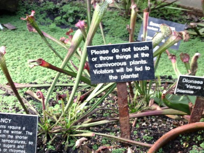 Название: plants.jpg
Просмотров: 3899
Размер: 101.3 Кб