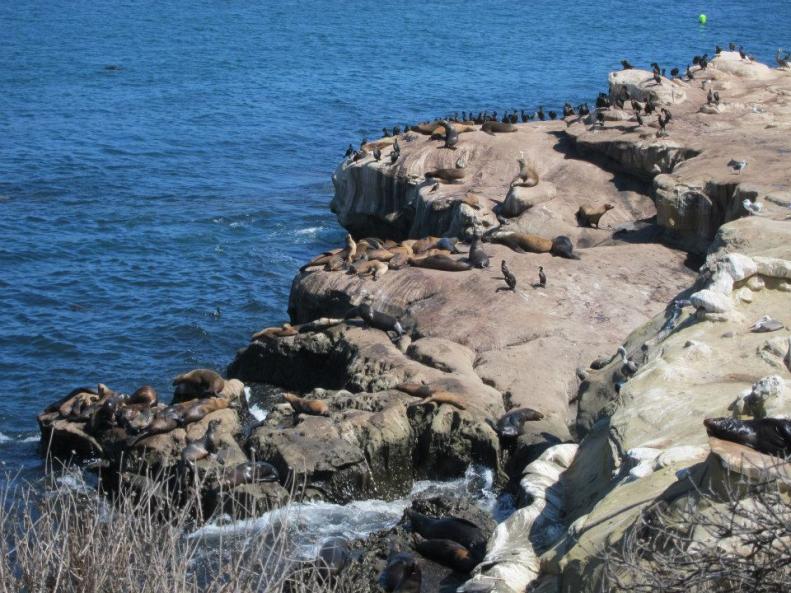 Название: 248466_4605567778171_487297078_n1.jpg
Просмотров: 4046
Размер: 98.3 Кб