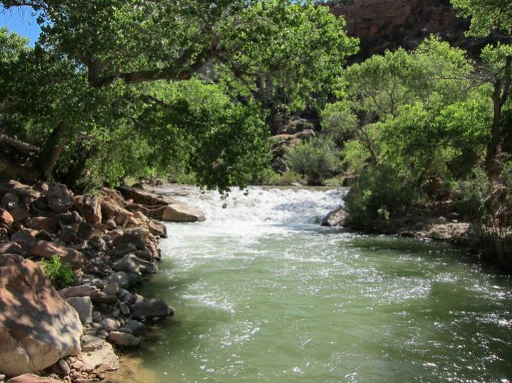 Название: nature.jpg
Просмотров: 3987
Размер: 91.4 Кб