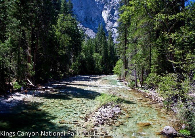 Название: Kings_can.jpg
Просмотров: 3757
Размер: 101.7 Кб