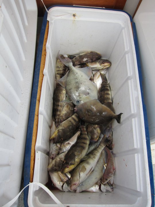 Название: fish.jpg
Просмотров: 2807

Размер: 70.7 Кб