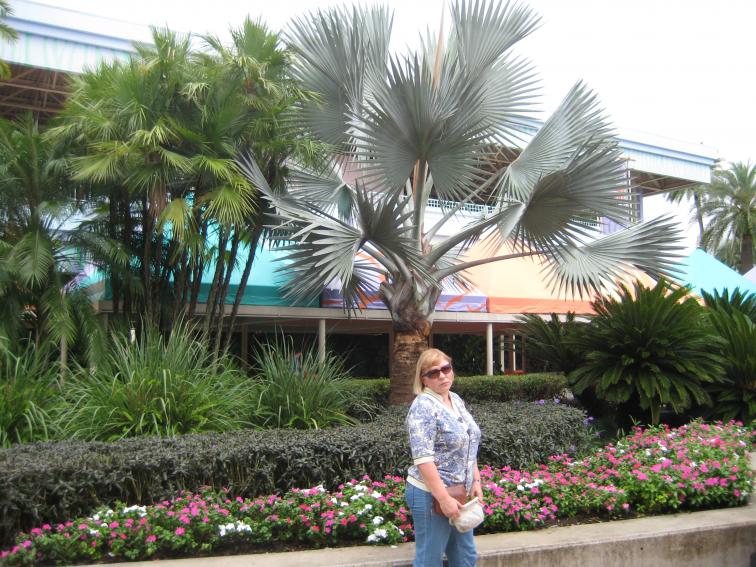 Название: Mama Vika 2009 342.jpg
Просмотров: 1549
Размер: 99.5 Кб