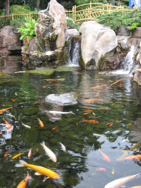 Название: Mama Vika 2009 475.jpg
Просмотров: 1453
Размер: 99.1 Кб