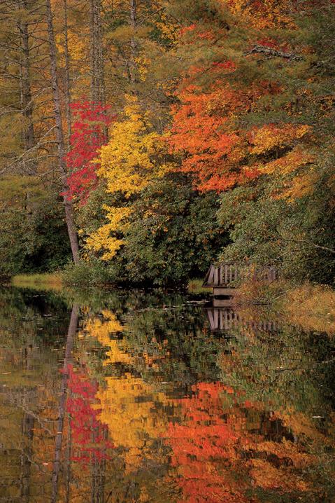 Название: n_ca1.jpg
Просмотров: 1359
Размер: 99.3 Кб