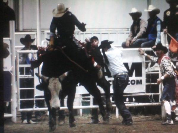 Название: 1127121729a.jpg
Просмотров: 639
Размер: 37.7 Кб