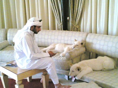 Название: 789477_o.jpg
Просмотров: 746
Размер: 45.6 Кб