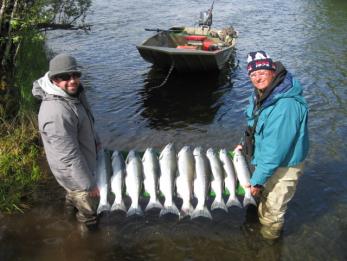 Название: show_cid.jpg
Просмотров: 756
Размер: 20.0 Кб