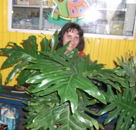 Название: Изображение 2222.jpg
Просмотров: 622
Размер: 34.7 Кб