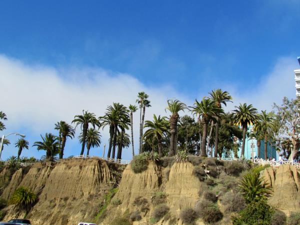 Название: image.jpg
Просмотров: 1155
Размер: 47.7 Кб