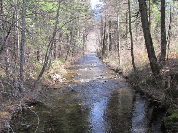 Название: Pacific Crest Trail - Soda creek.jpg
Просмотров: 1789
Размер: 78.7 Кб