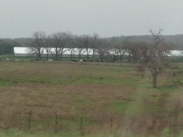 Название: IMG_1592.jpg
Просмотров: 911
Размер: 25.1 Кб