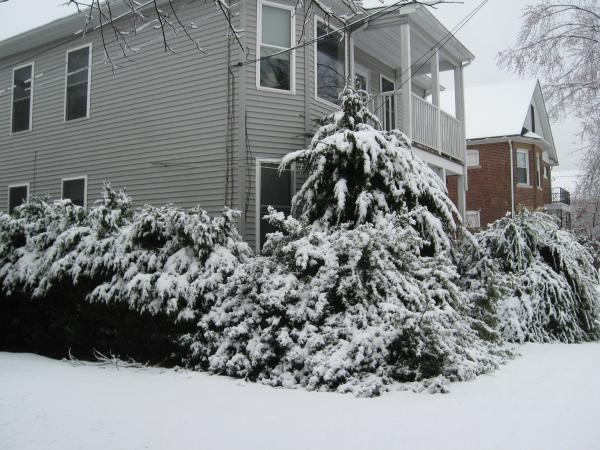 Название: IMG_3005.jpg
Просмотров: 779
Размер: 61.0 Кб