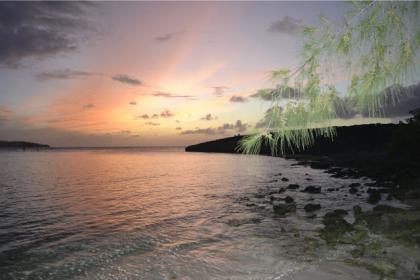 Название: нен.jpg
Просмотров: 1851
Размер: 17.5 Кб